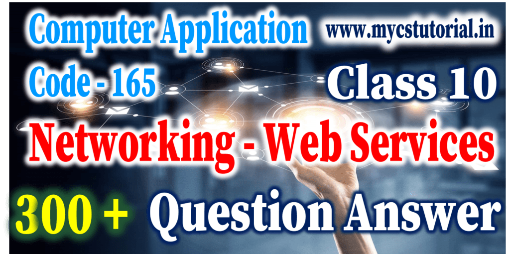 Class 10 Computer Applications 165 Networking Ch 1 Basics