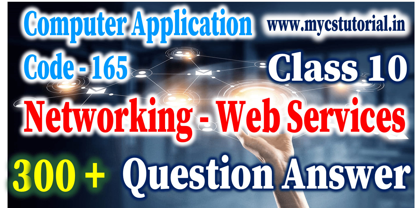 Class 10 Computer Applications 165 Networking  Services 100