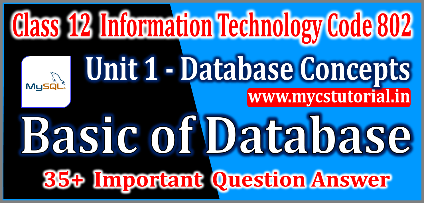 Class 12 IT 802 Unit 1 Database concepts NCERT Book solution MyCSTutorial The path to Success