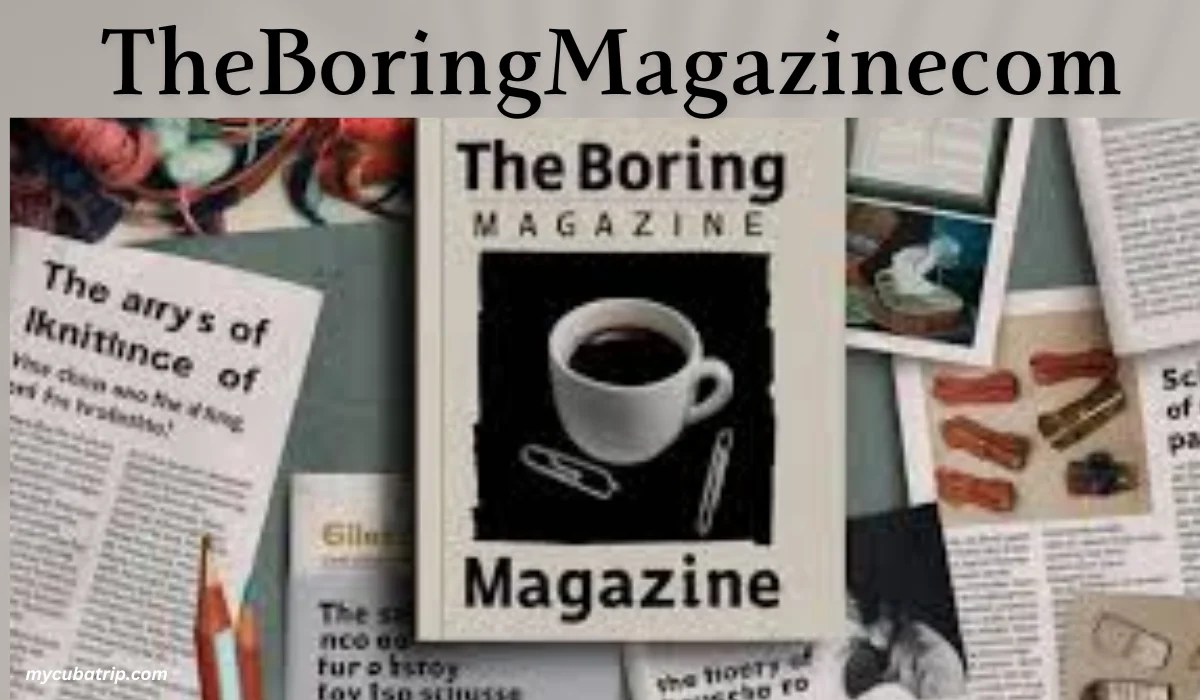 A Deep Dive into The Boring Magazine