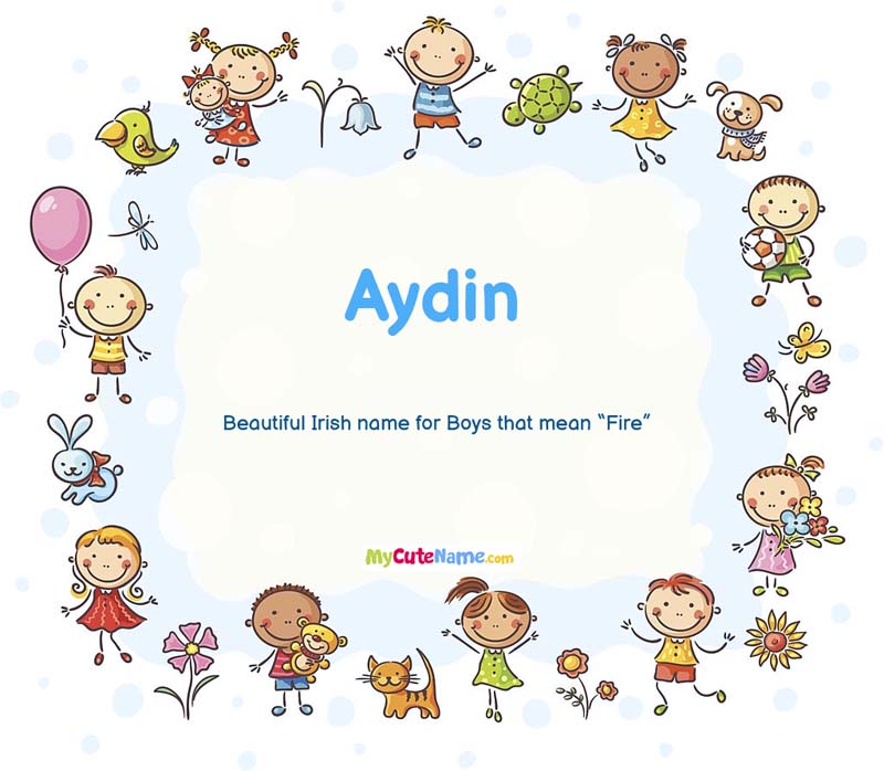 Aydin meaning what is the meaning of name Aydin ? [**2024 UPDATE**]