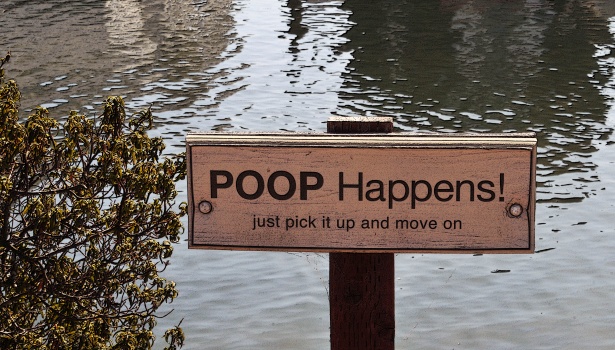 Why is my poop pink in colour?