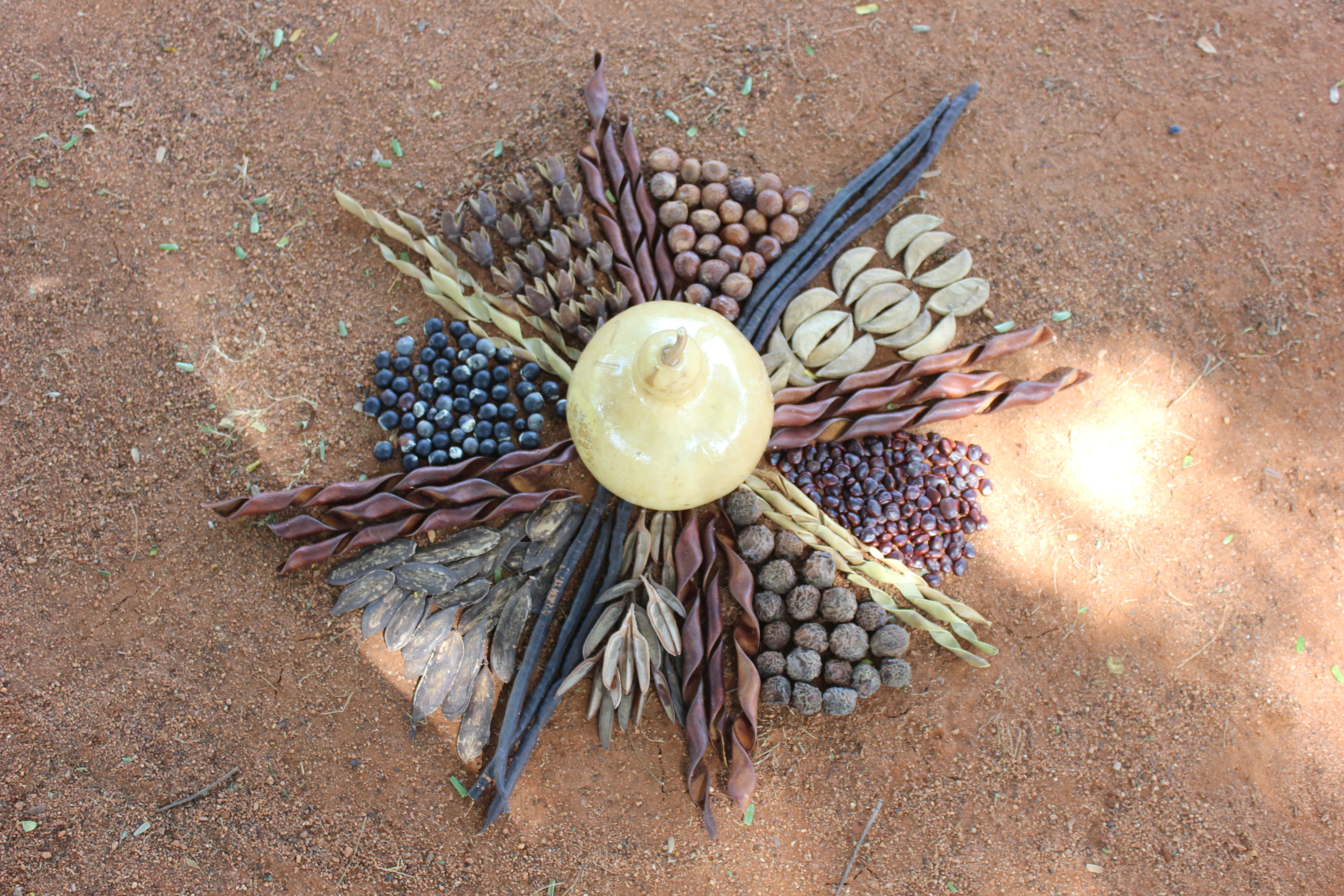 Introducing Seeds to Children With Fun and Games