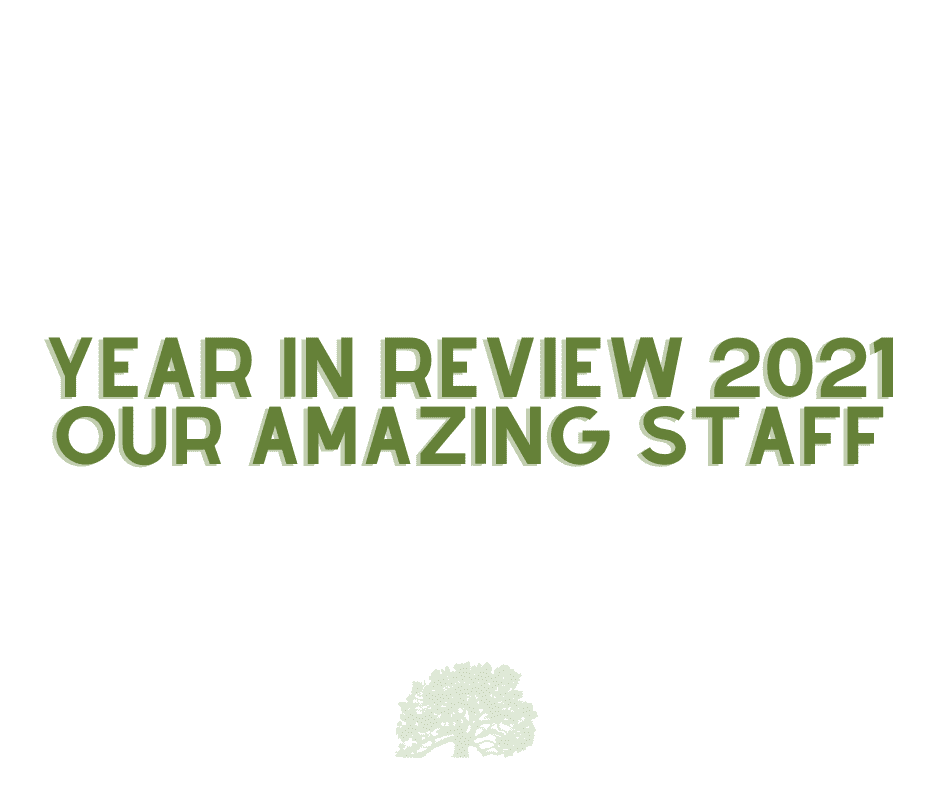 A Year In Review 2021 MYDDS