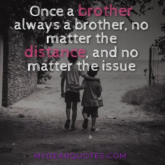 +20 Heart Touching Brother Quotes Ideas Heart-Touching Brother From Another Mother Quotes | Positive Daily Quotes