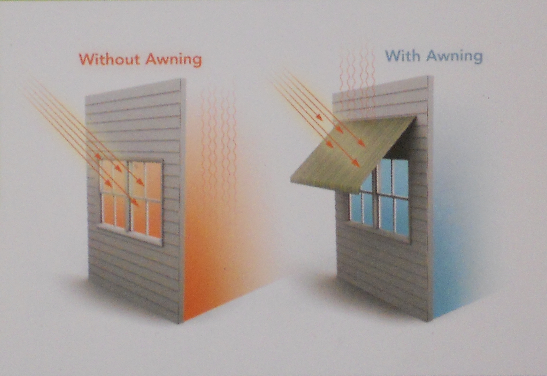 Know About the Shades in Home and Alternatives