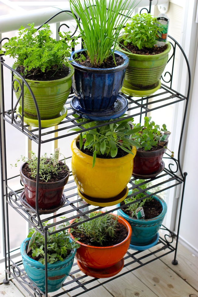 Grow your Very Own Container Garden My Decorative