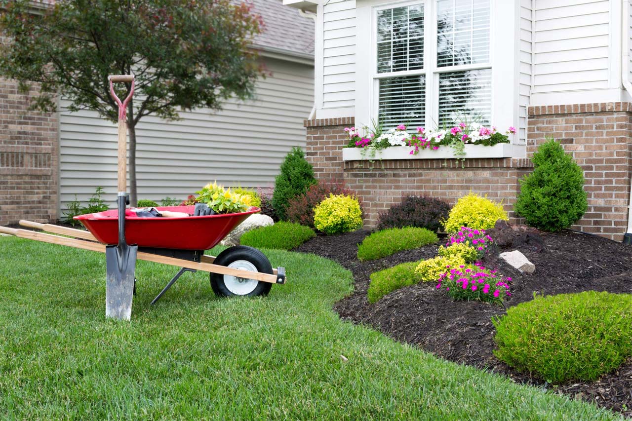 Landscaping Tips For Making Your Home More EnergyEfficient My Decorative
