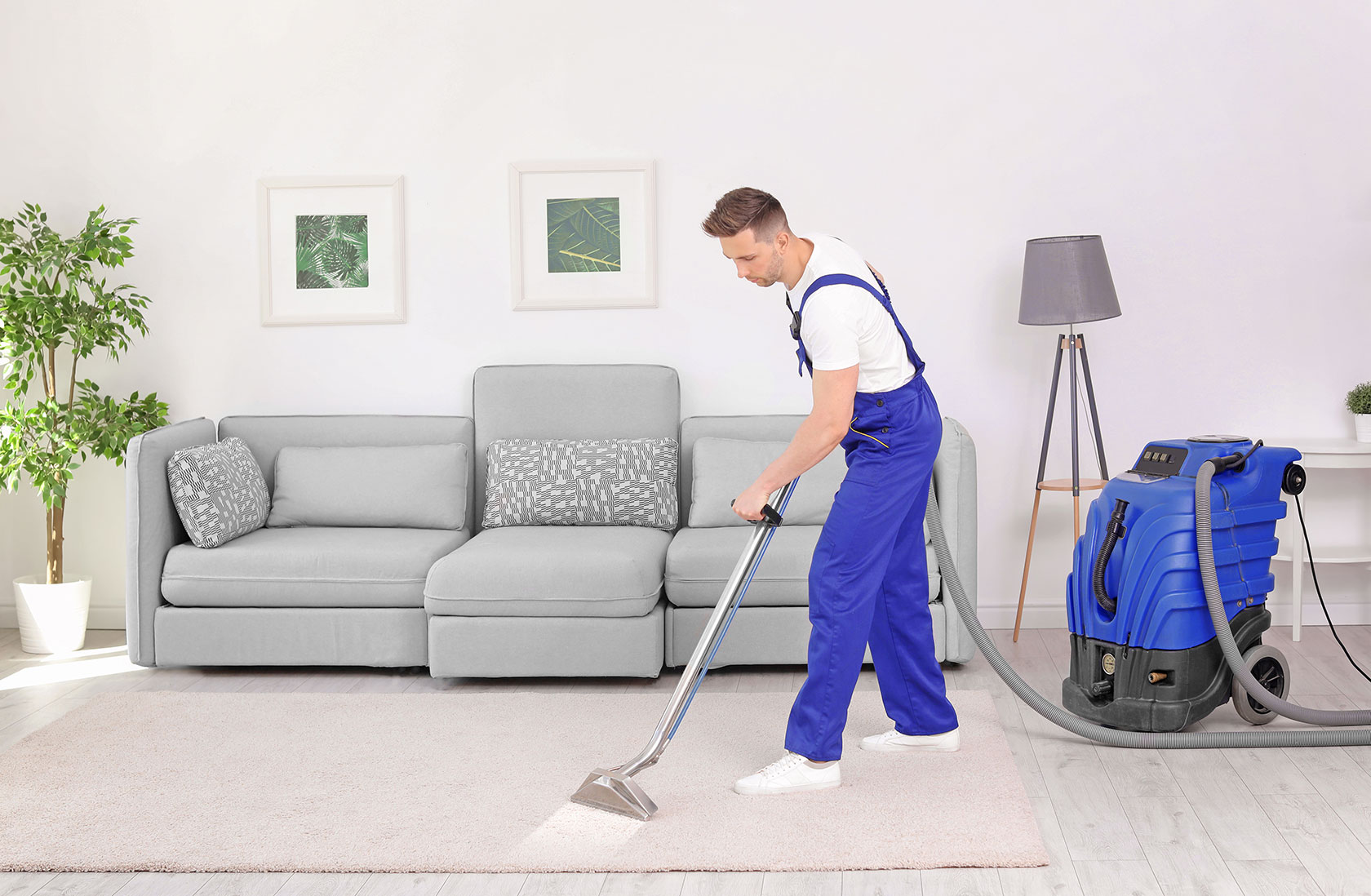 Is This Viera Carpet Cleaning Company The Future My Decorative