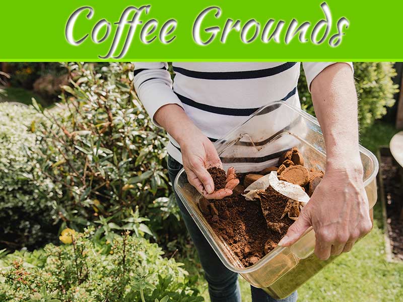 How To Use Coffee Grounds In The Garden My Decorative