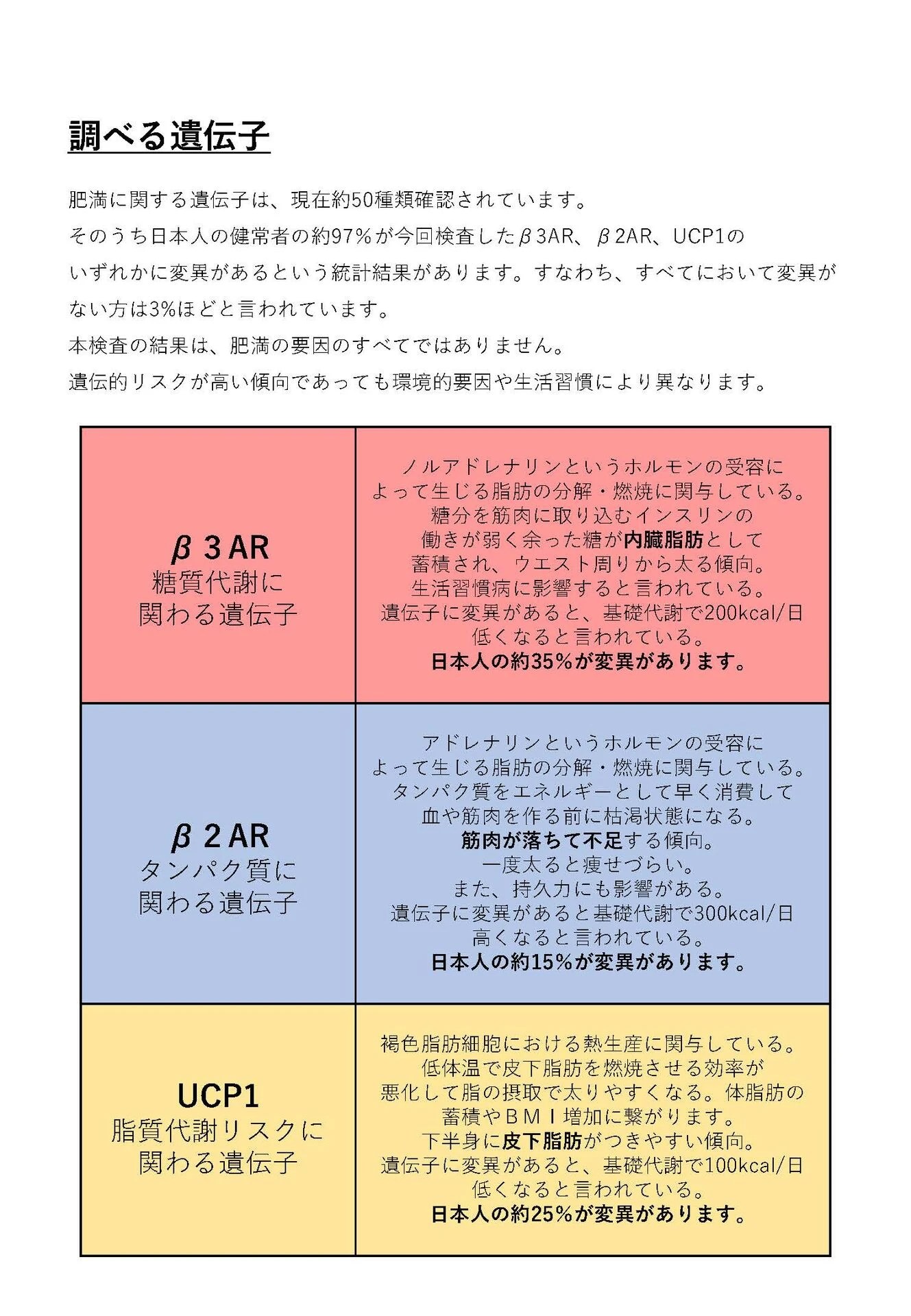 ボディメイク遺伝子検査キットとジェノプラン遺伝子検査キットの違いは？ ブログ
