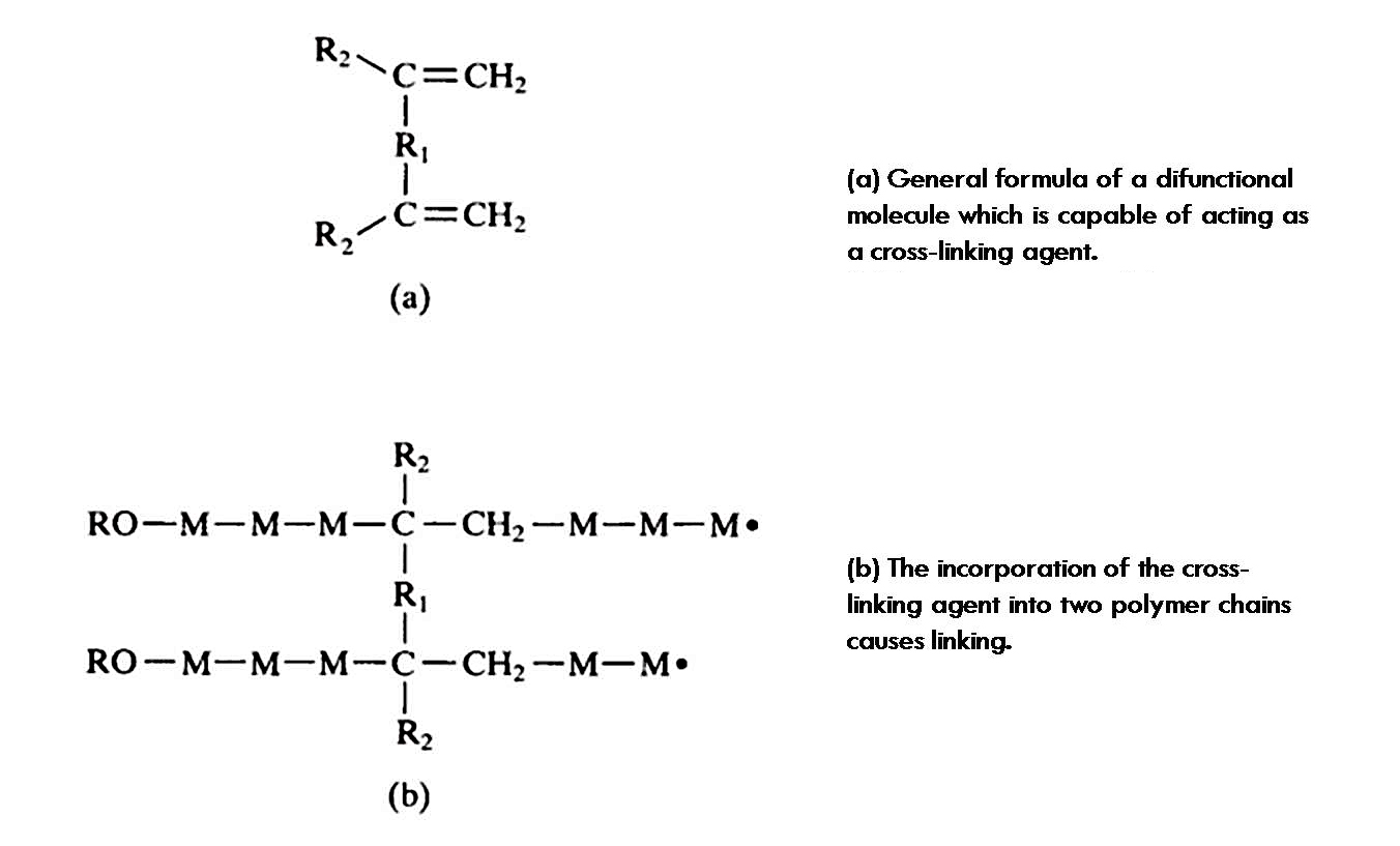Polymers in Dentistry Introduction My Dental Technology Notes
