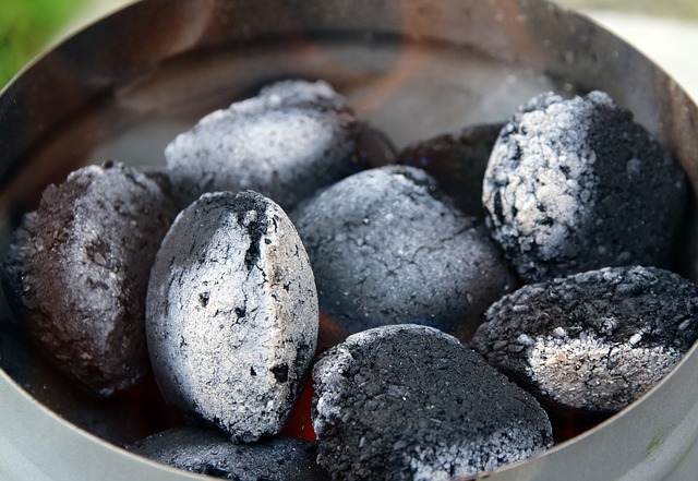 Tips for Repurposing Used Charcoal Briquettes and Ash My Divine Concierge