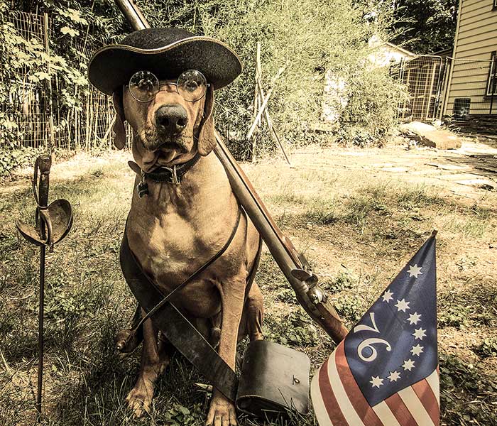 Did Dogs Fight In The Revolutionary War? You'll Be Surprised! (Video