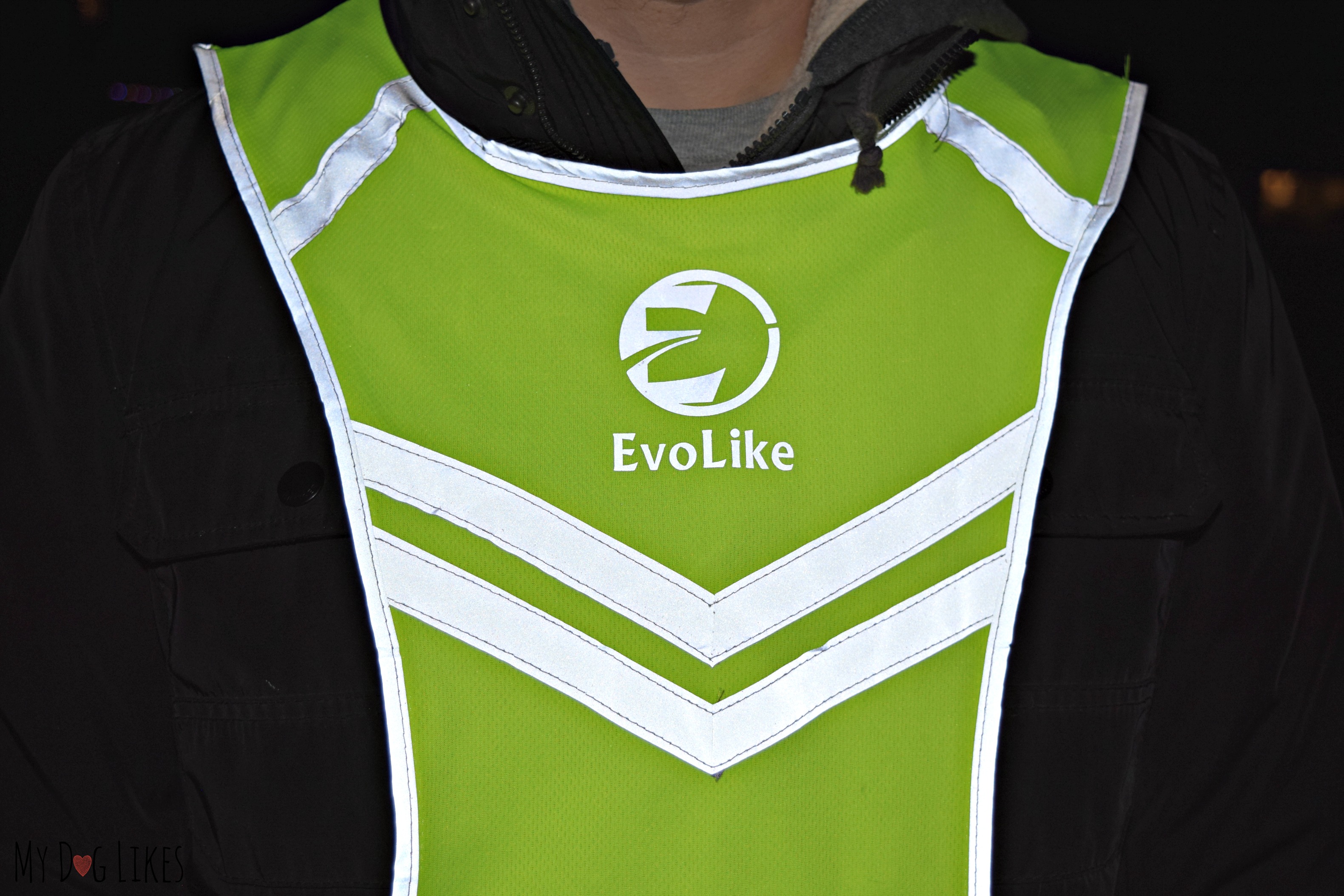 EvoLike Reflective Vest for Dog Walking Review Staying Safe in the Dark!