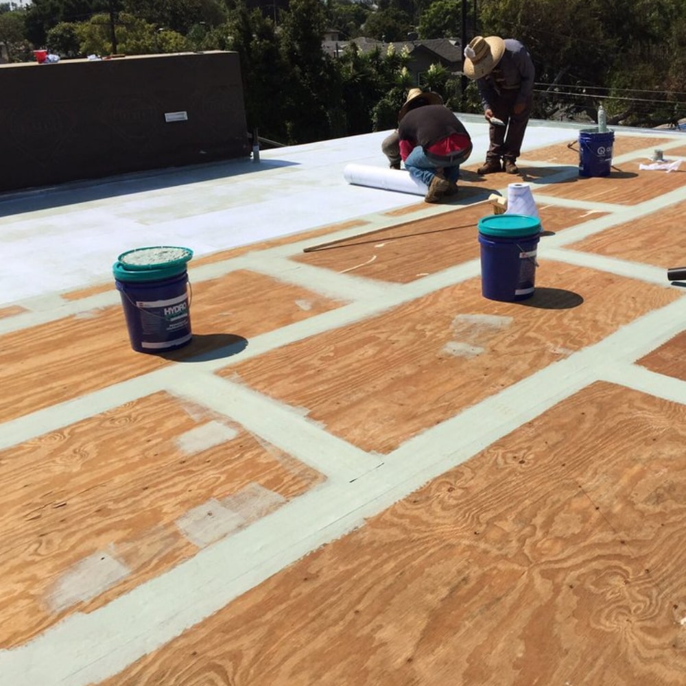 Projects Completed By Dr. Roof Dr. Roof