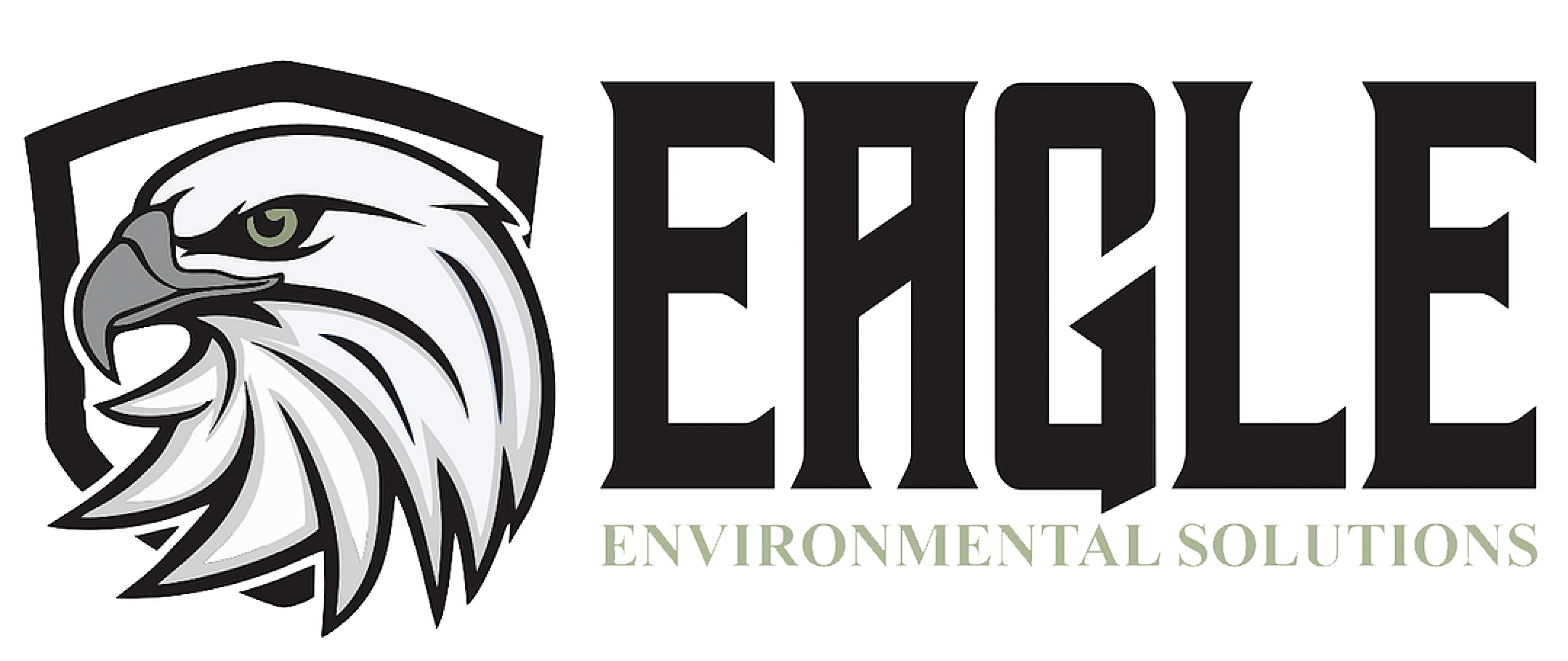 Eagle Environmental Solutions Easing your mind is our top priority.