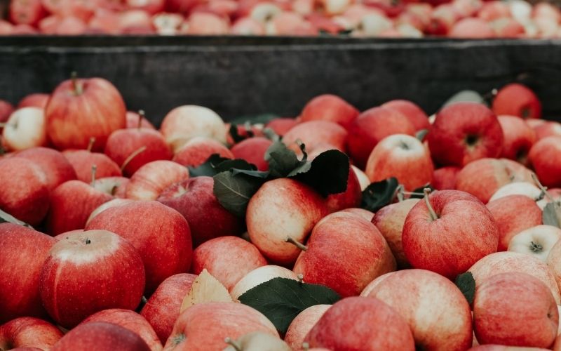 Packhouse for fruits and vegetables My E Blackboard