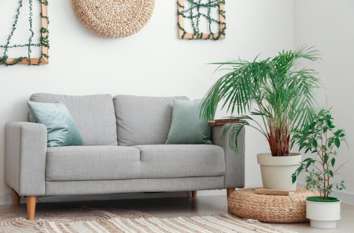 3 Simple Ways to Grow Your Own Air-Purifying Plants