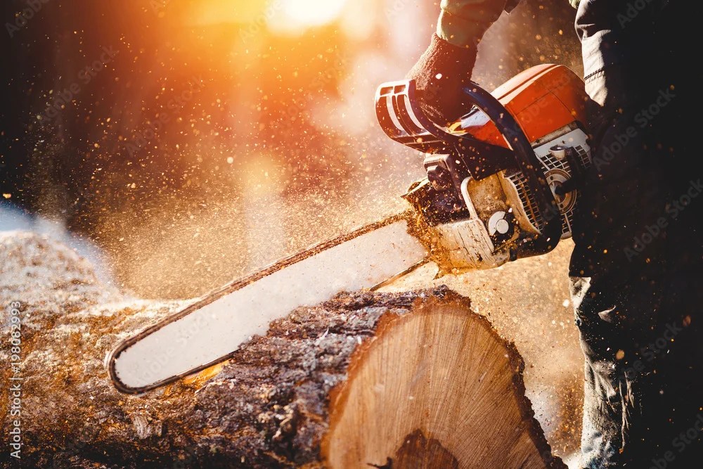 7 Best Cordless Chainsaws: Reviews And Buying Guide