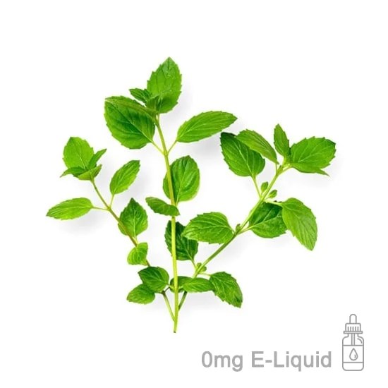 Peppermint ELiquid Wholesale My ELiquid Supplies UK