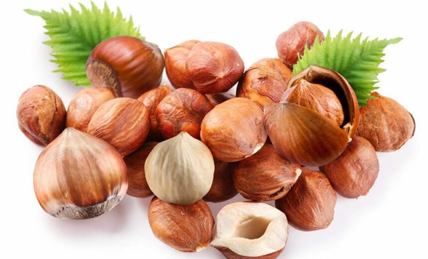 Benefits of Hazelnut My Emerald Health Benefits of Hazelnut