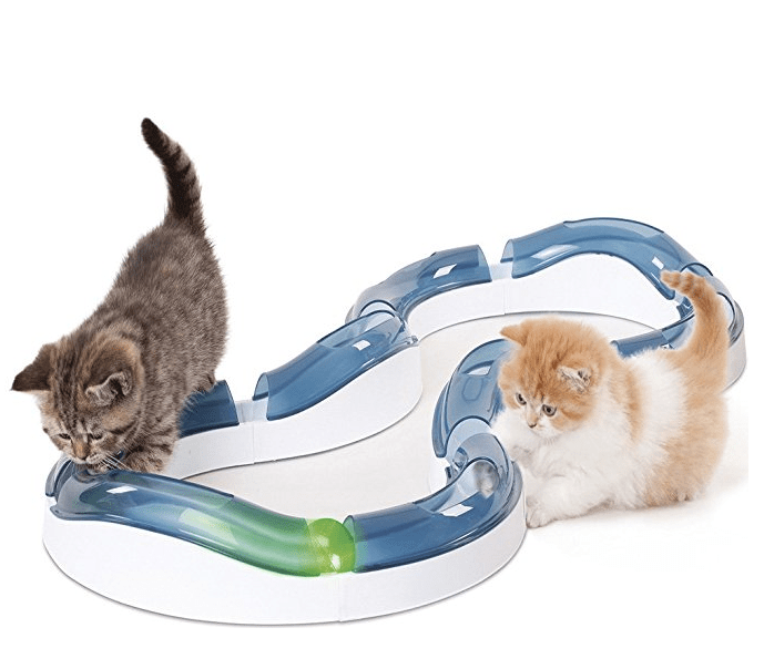 What is the best cat toy?