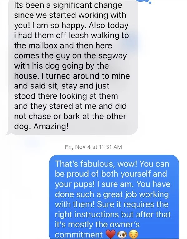 My Epic Dog Training Fort Worth Tx