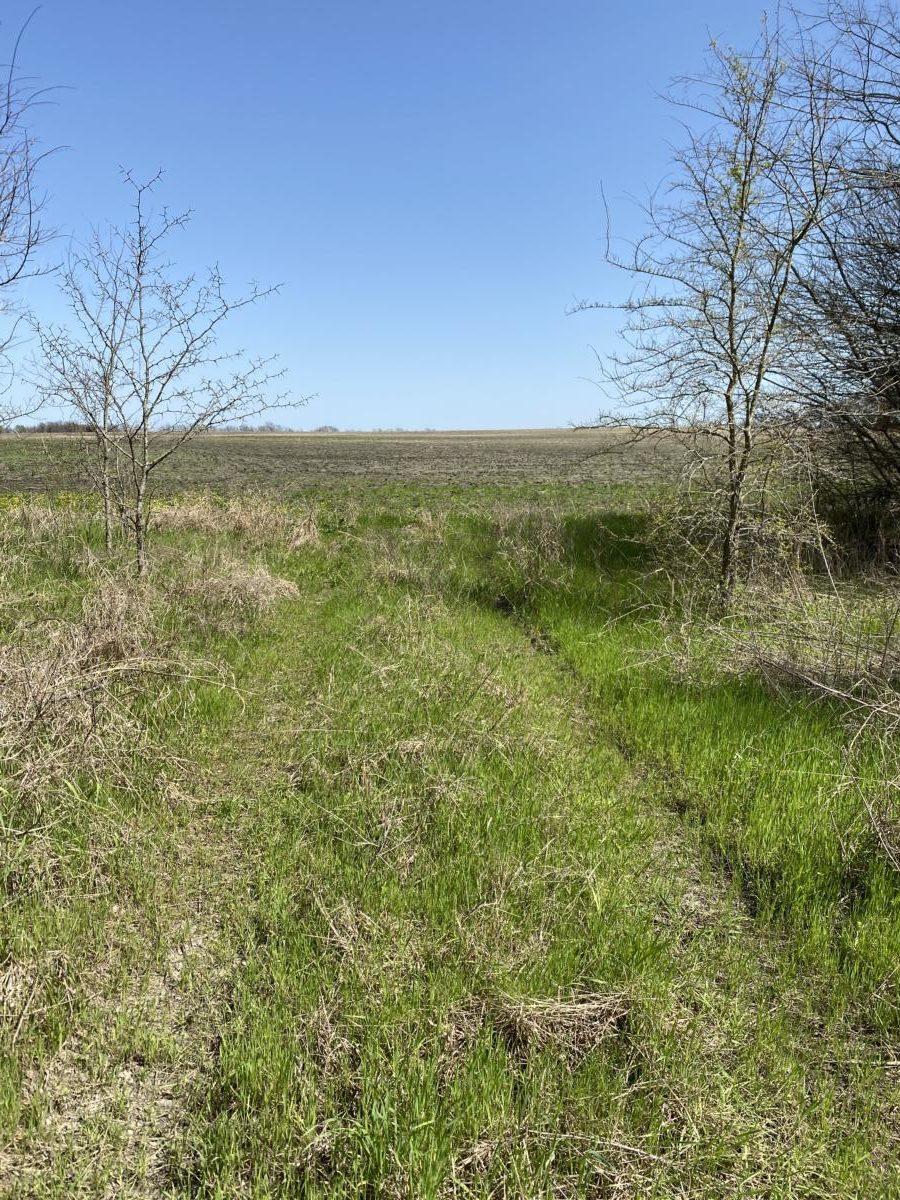 45ac Texas Farmland Near Paris