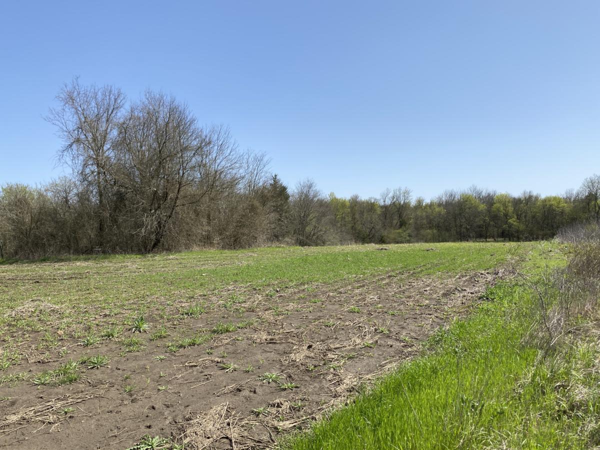 45ac Texas Farmland Near Paris