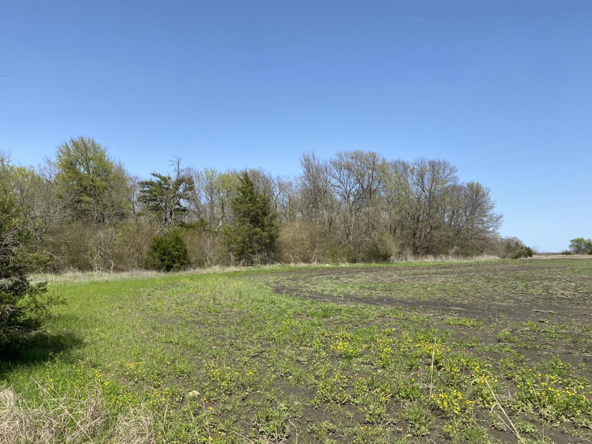 45ac Texas Farmland Near Paris