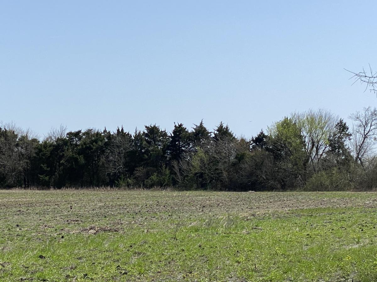 45ac Texas Farmland Near Paris