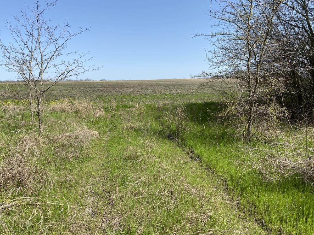 80 Acre Texas Farm Land Property Near Paris_Horse_Cattle_Acreage_ For Sale