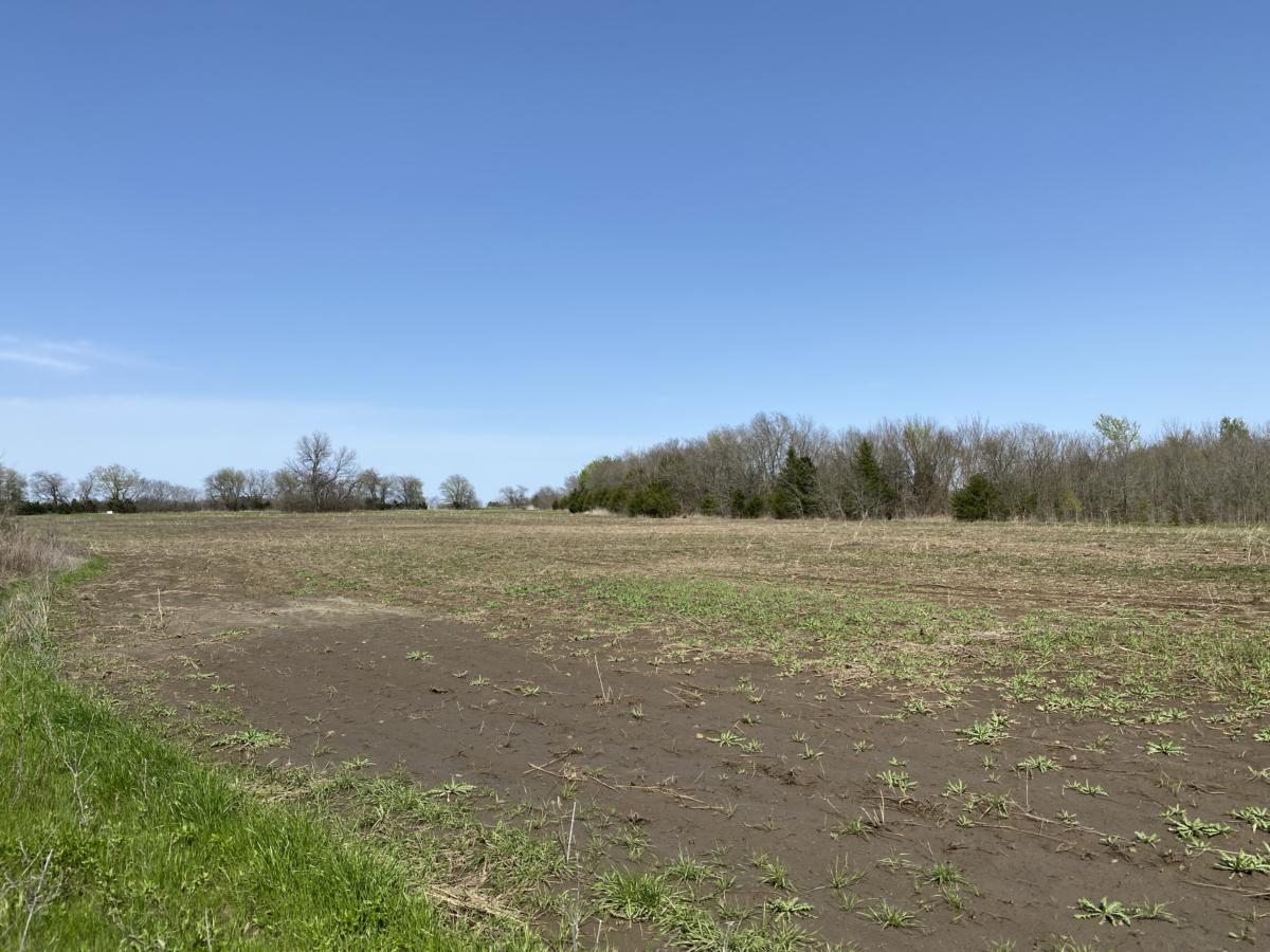 80 Acre Texas Farm Land Property Near Paris_Horse_Cattle_Acreage_ For Sale