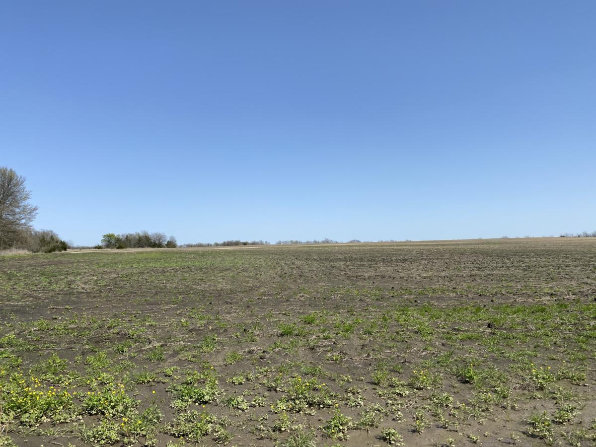 80 Acre Texas Farm Land Property Near Paris_Horse_Cattle_Acreage_ For Sale
