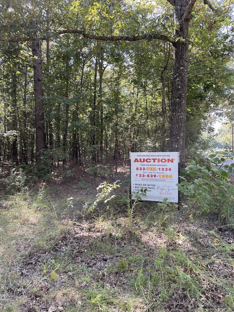 30 Acres of Land For Sale_New Boston TX Real Estate_East Texas Land