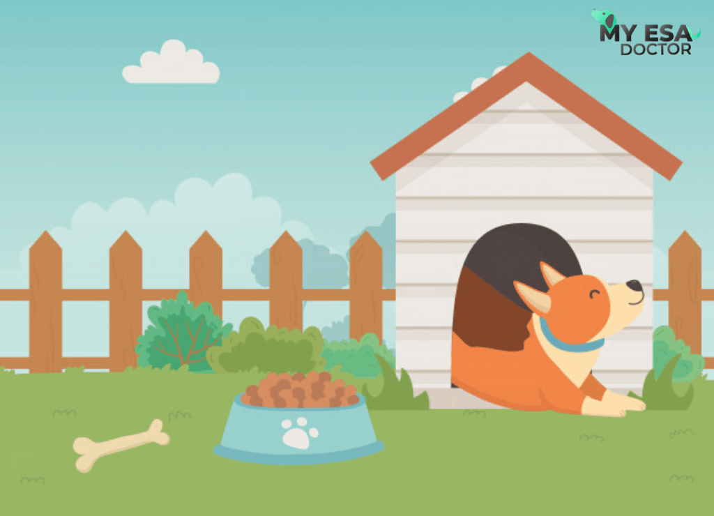 Fair Housing Act Emotional Support Animals My ESA Doctor