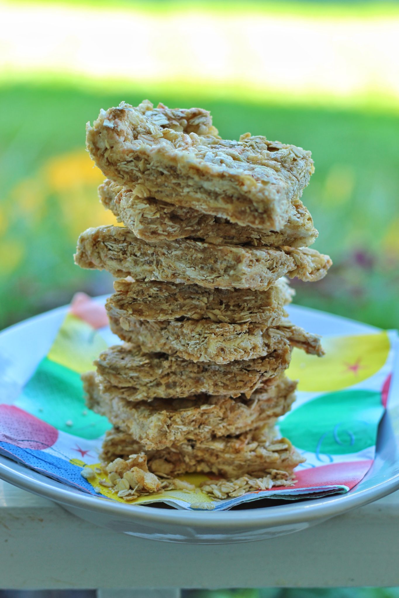 Whole Grain Cereal Bars (Gluten Free) Everyday Champagne