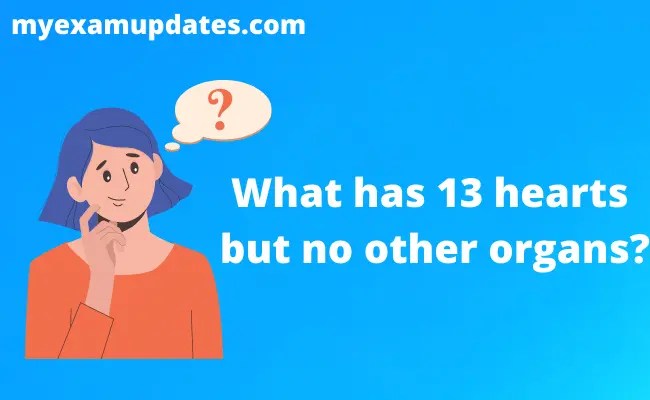 What has 13 hearts but no other organs? - My Exam Updates