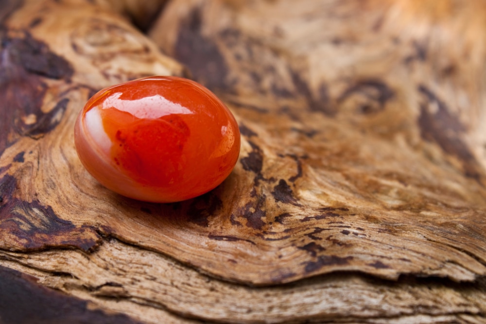 Red Agate Vs Carnelian What’s the Difference Between the Two Stones?