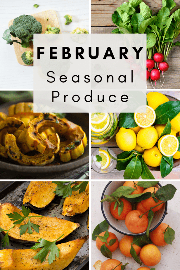February Seasonal Produce My Family Dinner
