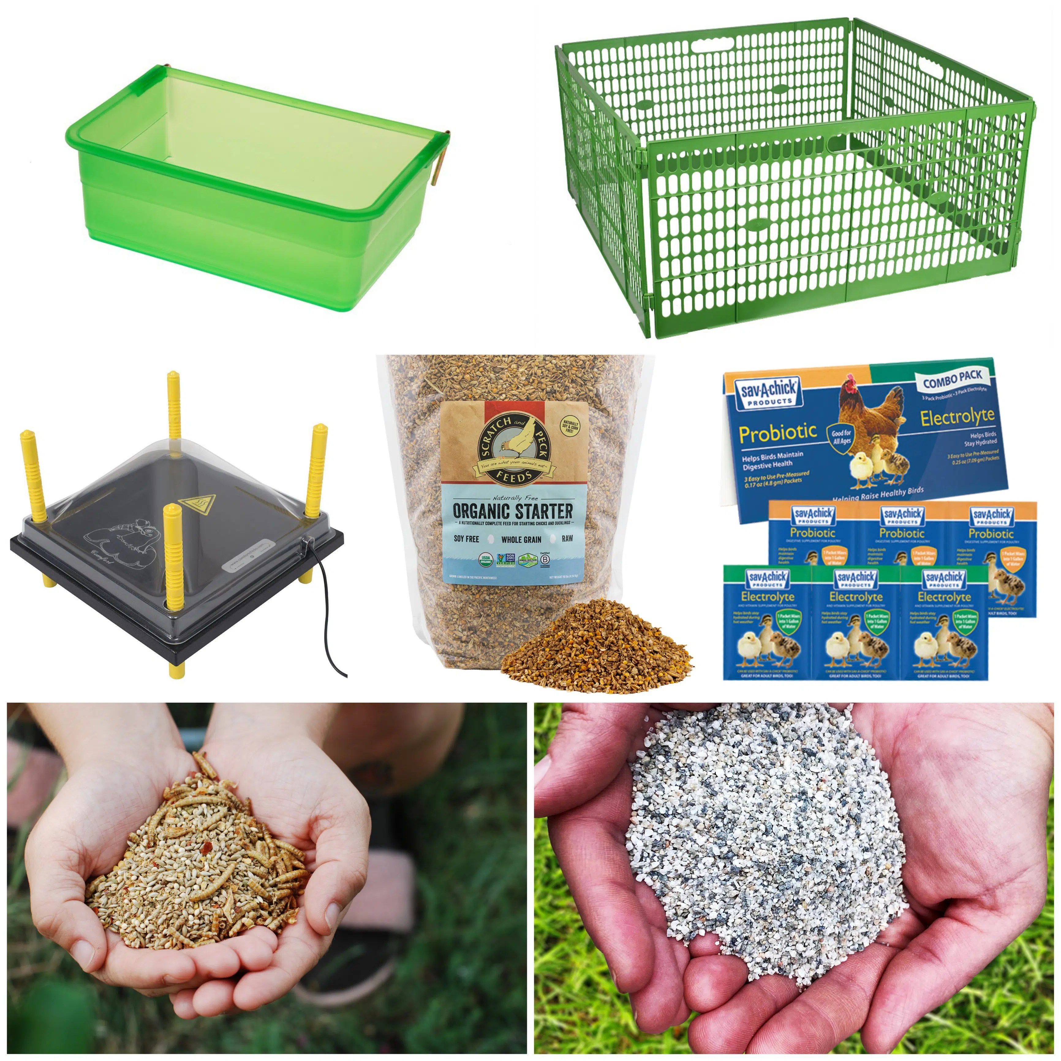 My Favorite Chicken Innovative Backyard Chicken Supplies