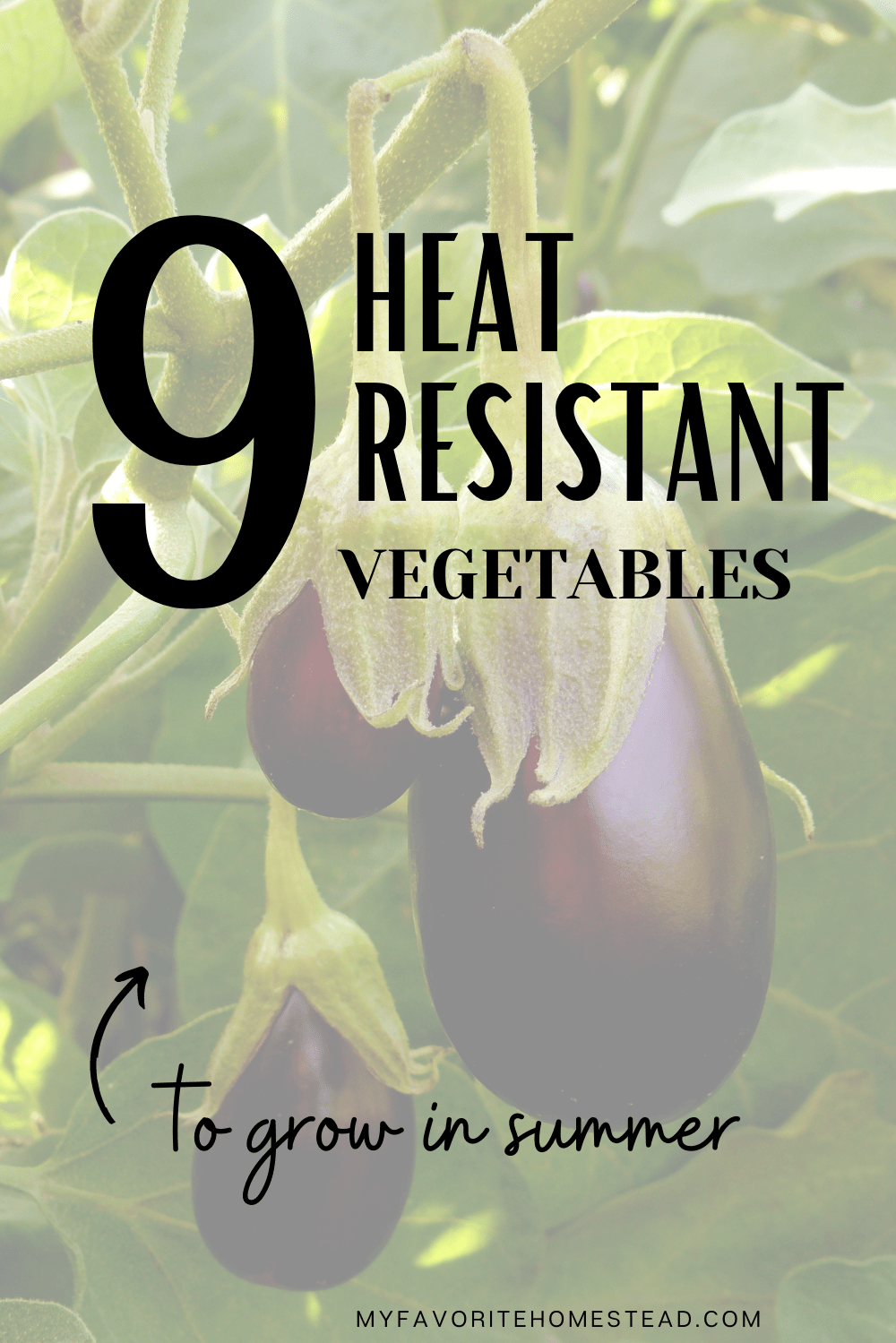 Heat Resistant Vegetables to Grow in Summer