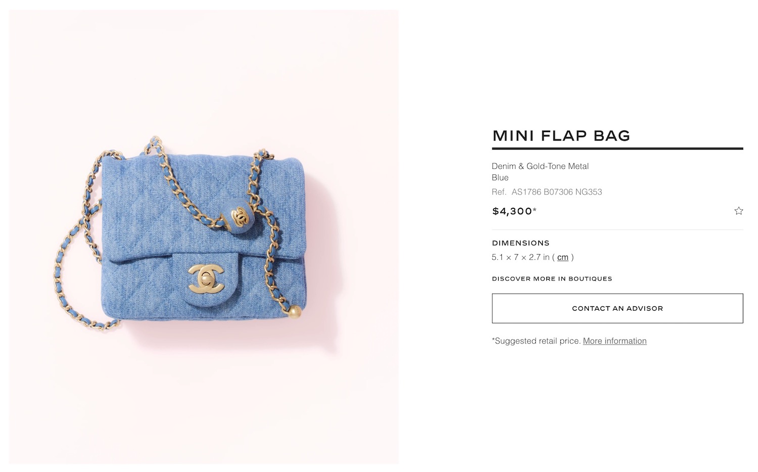 TOP 10 BEST CHANEL BAGS TO INVEST IN 2022 My First Luxury