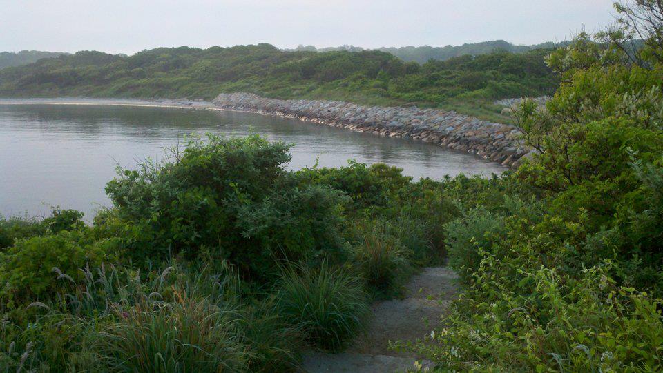 May 31 Cape Cod Surf Fishing Report