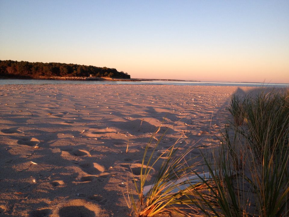 Cape Cod Surf Fishing Report for October 15