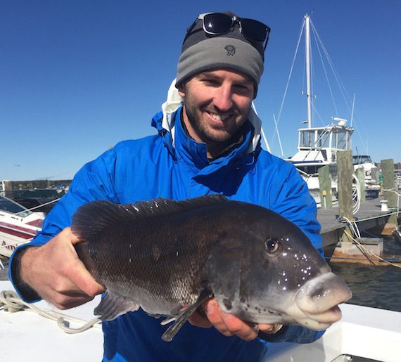 Buzzard's Bay Tautog Fishing Oct. 17th 2015 [VIDEO]