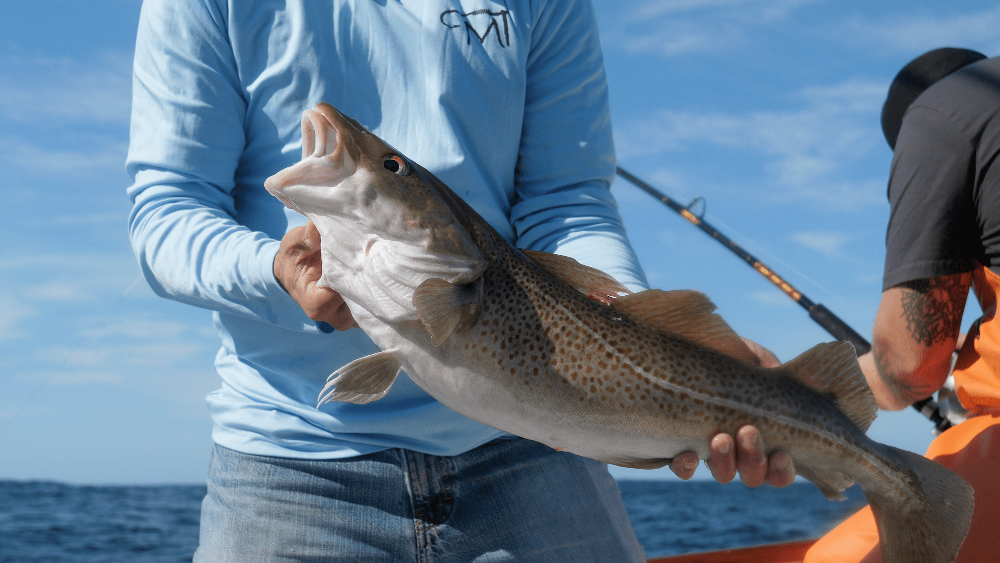 Jigging for Cod during the Fall off the Cape My Fishing Cape Cod