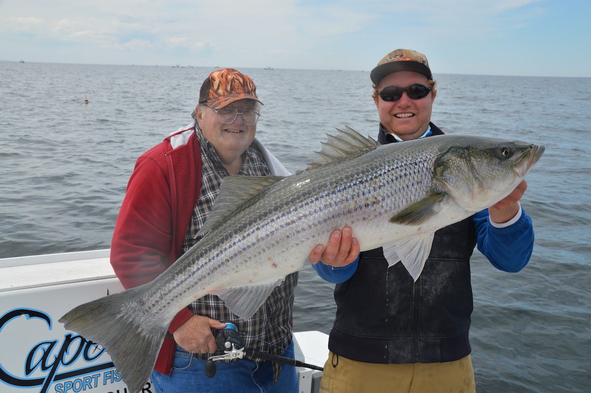 Early June Cape Cod Striper Report My Fishing Cape Cod