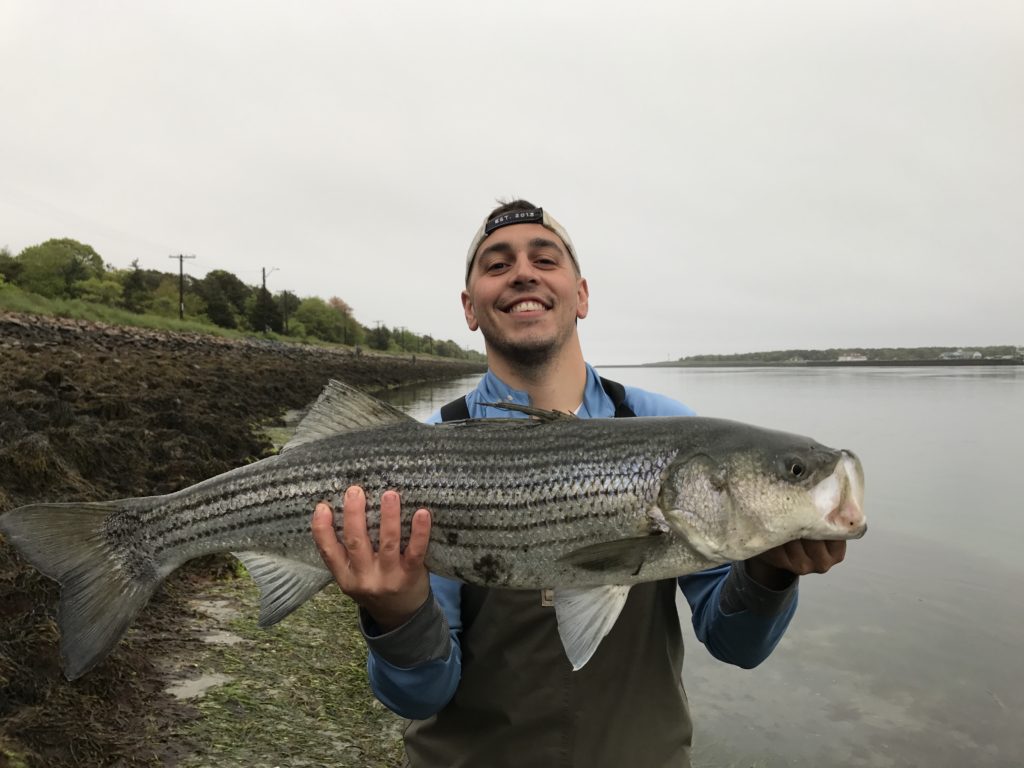 A Simple & Delicious Recipe for Striped Bass My Fishing Cape Cod